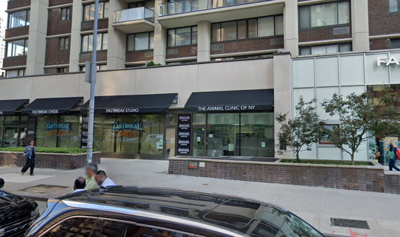 Animal Clinic of New York