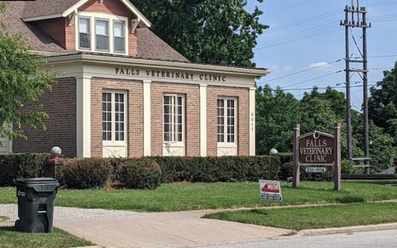 Falls Veterinary Clinic