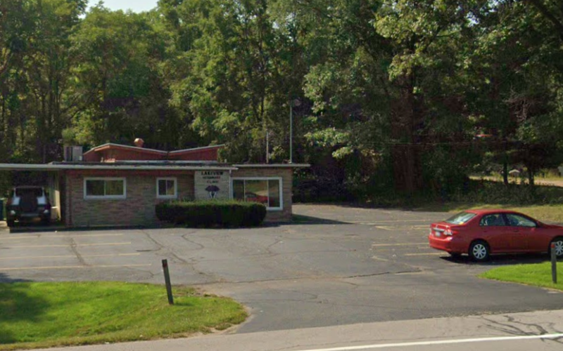 Lakeview Veterinary Clinic Battle Creek MI