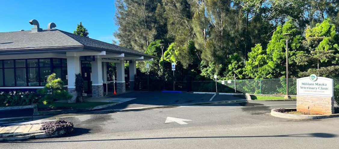 Mililani Mauka Veterinary Clinic