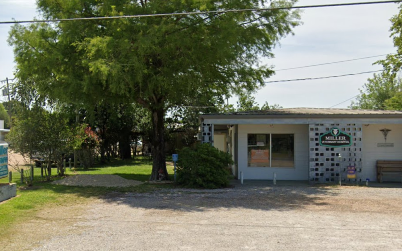 Miller Veterinary Hospital