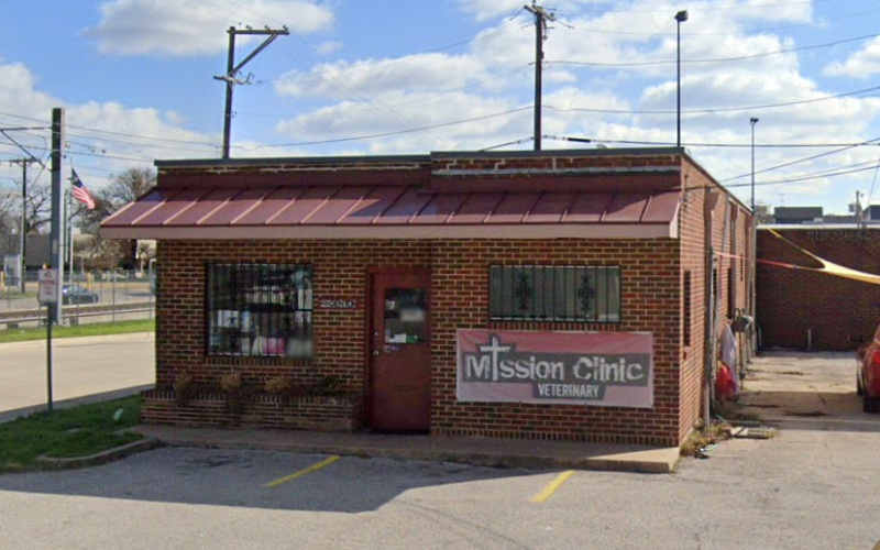 Mission Vet Clinic Dallas TX
