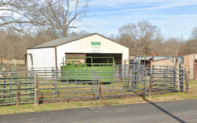 Old Hatchie Veterinary Clinic