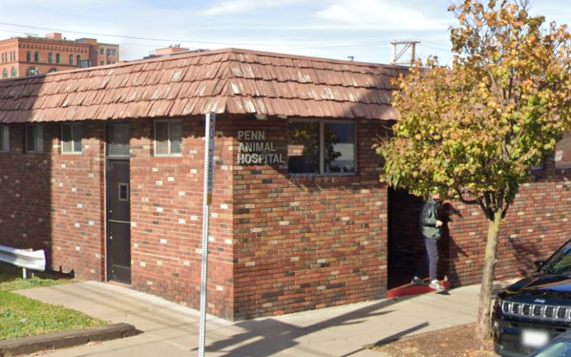 Penn Animal Hospital