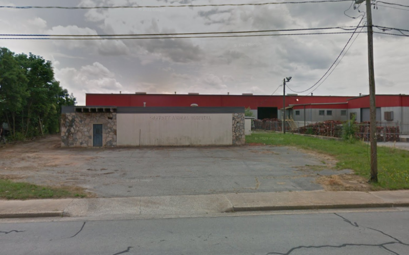 The Other Animal Hospital