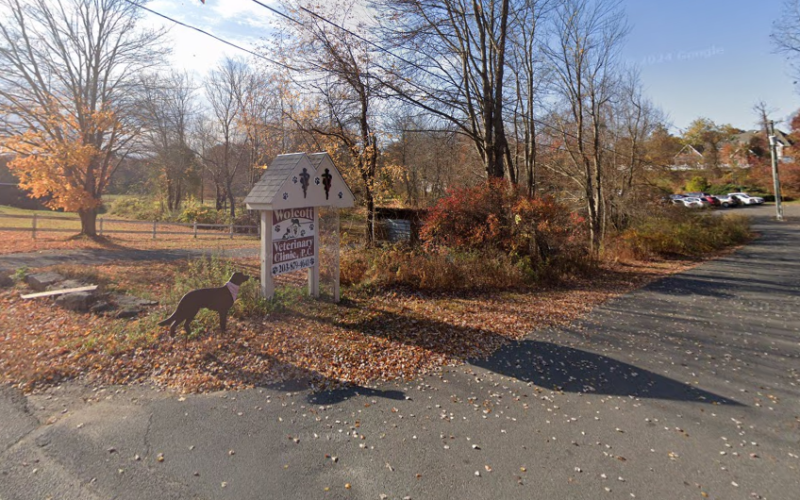 Wolcott Veterinary Clinic PC: Miller Maria L DVM