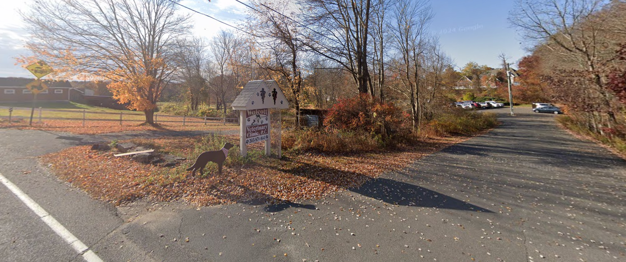 Wolcott Veterinary Clinic PC: Miller Maria L DVM
